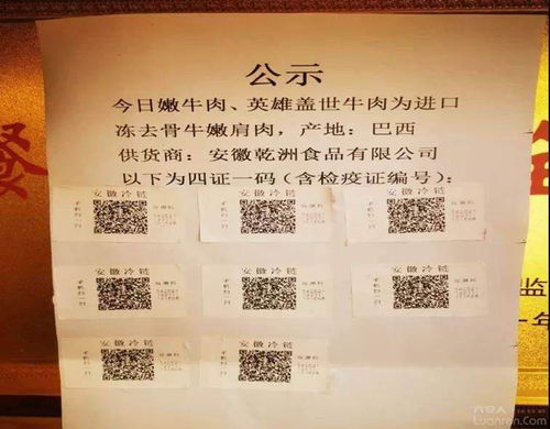 陽(yáng)光下的冷鏈 六安金安如何守護(hù)“舌尖上的安全”——聚焦食品流通環(huán)節(jié)全程監(jiān)管