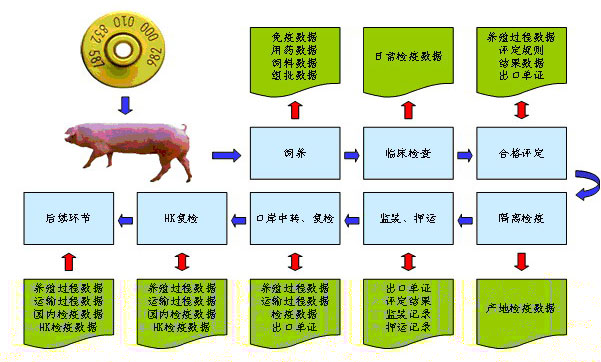 Ninetowns Internet Technology Group Company Limited 從軟件外包到食品流通追溯的跨界轉型之路